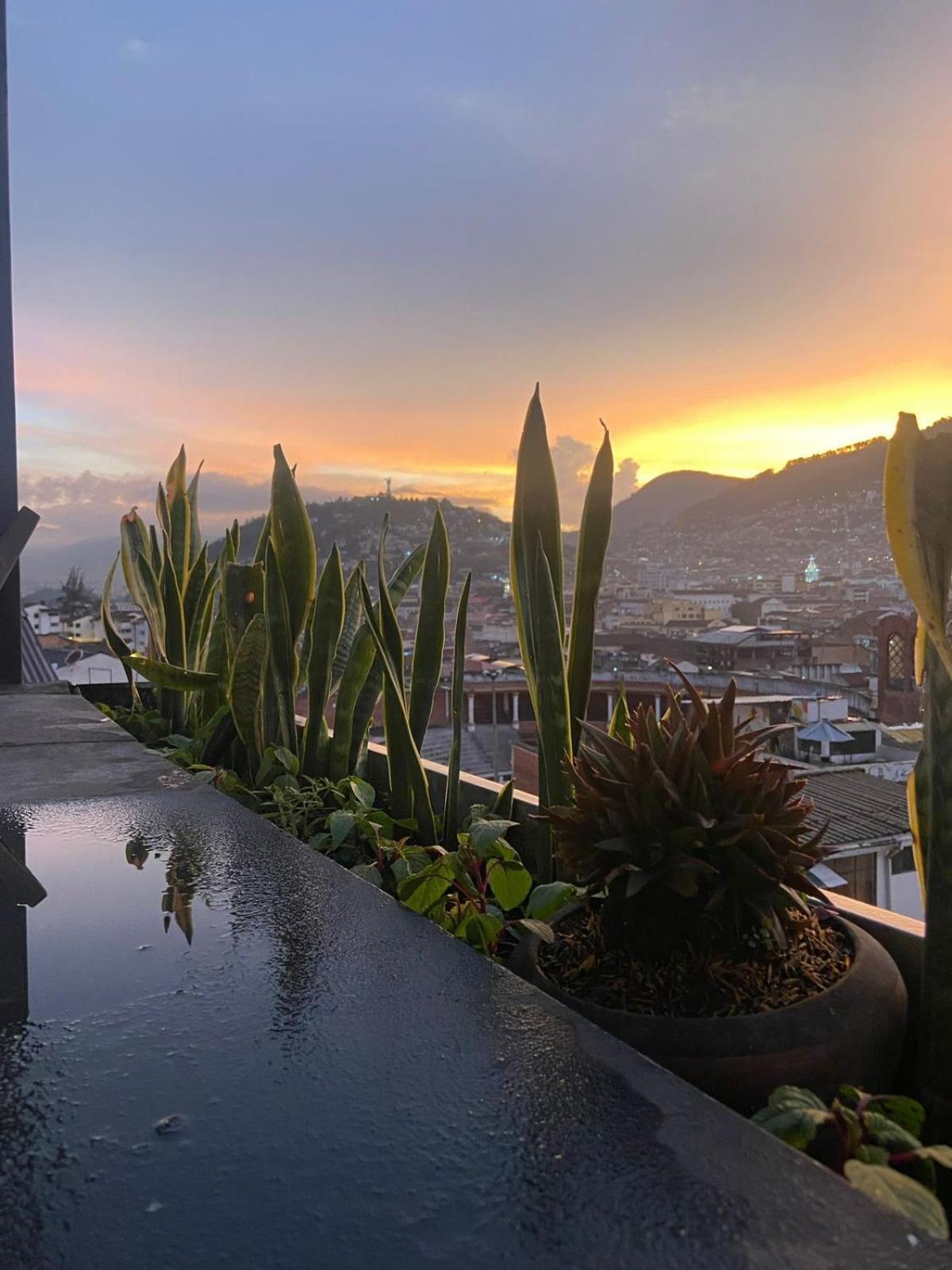 Hostal La Guayunga Rooftop Quito Buitenkant foto